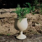 Arbor Aroma Candle-Cream Matte