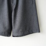 3307CPS-grey flash