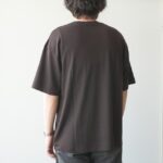 aws5-cs008-brown