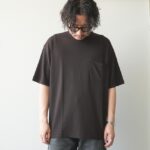 aws5-cs008-brown
