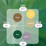 Bulbous wood diffuser × aroma oil 5ml set-Bergamot