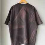 ALV-00202