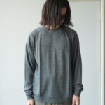ALV-00135-GRAY