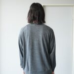 ALV-00135-GRAY